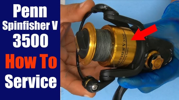 Penn Spinfisher VI 4500 Fishing Reel - How to take apart, service and  reassemble 
