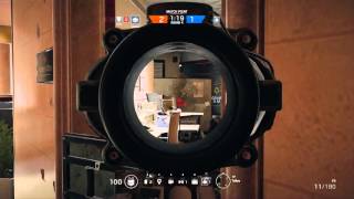 Rainbow siege shield bug
