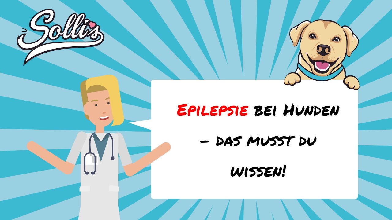 Epilepsie beim Hund Symptome & Behandlung YouTube