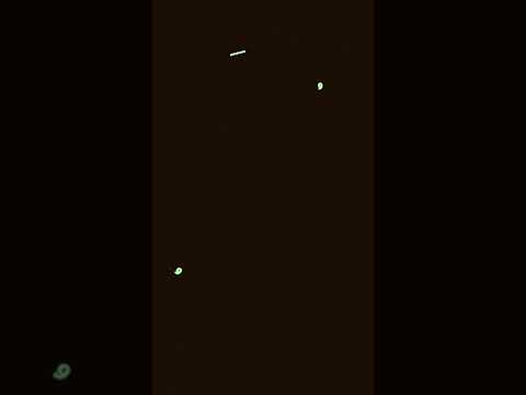 اكسبلور  ورك شلتنا لايك اكلتك اعتني اهميه  دويتو