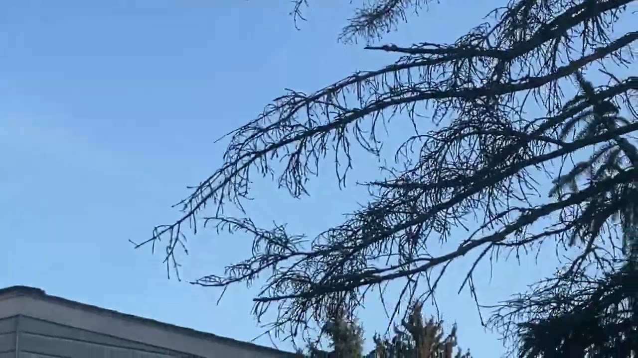 Boeing 747-4B5F, N710CK