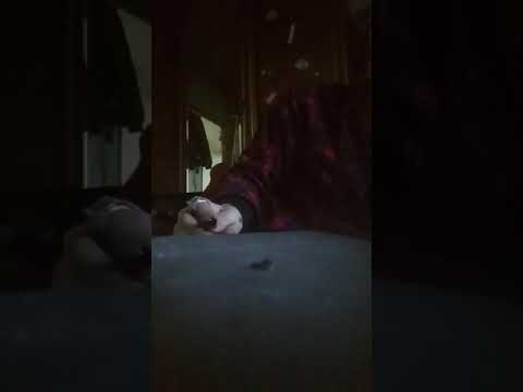 HOME Pay money To my Pain 黒澤篤志