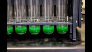 Copper Gold Concentrate Digestion For Gold Analysis Using Coldblock