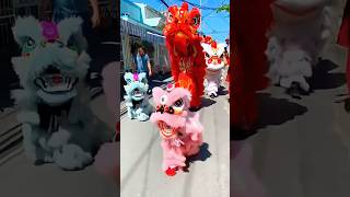 barongsai ngamen😲#shorts #funny #comedy #fypシ゚viral
