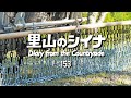 田舎暮らし 153:田んぼ用チェーン除草機を作る