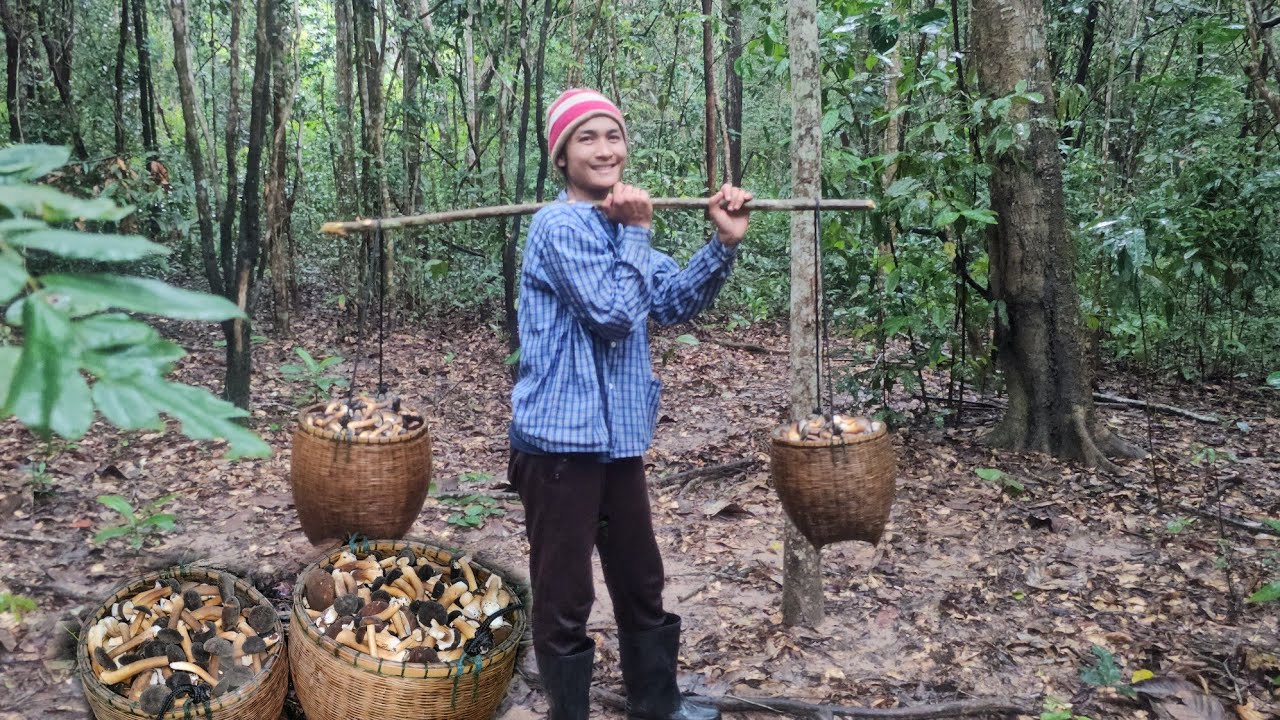 โพดๆโพๆเห็ด!! หมานจนได้หาบ มีแต่ดอกงามๆ!!จ๊วดๆ 2 กันยายน 2568 หมานๆครับผม