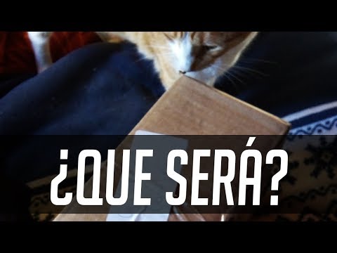 UN REGALO MUY ESPECIAL (Unboxing) - UN REGALO MUY ESPECIAL (Unboxing)