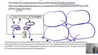 :    (Quorum sensing - QS).  2