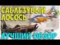 Саблезубый лосось (Sabertooth Salmon) в АРК. Лучший обзор: приручение и особенности  в ark