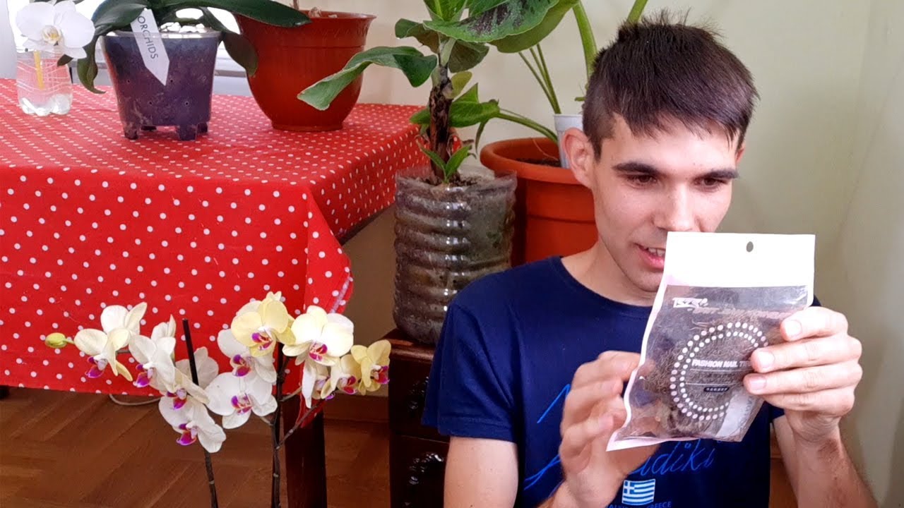 I received some exotic seeds from Australia