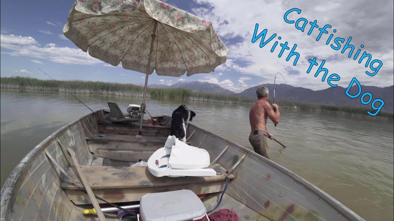 Catfishing Catching Catfish and Carp with the Dog YouTube
