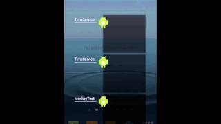 Monkey test and time service