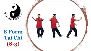 8 Form Tai Chi (8-3, Wild horse parting mane)