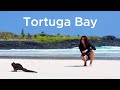 La playa más bonita del mundo está en Galápagos. Tortuga Bay