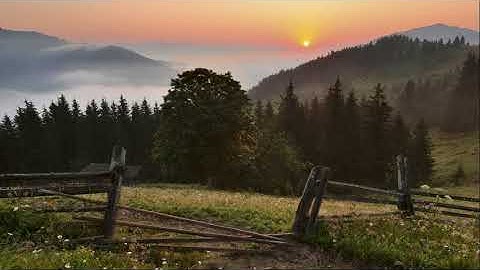 تلاوة هادئة بقمة الجمال تُرقق القلوب