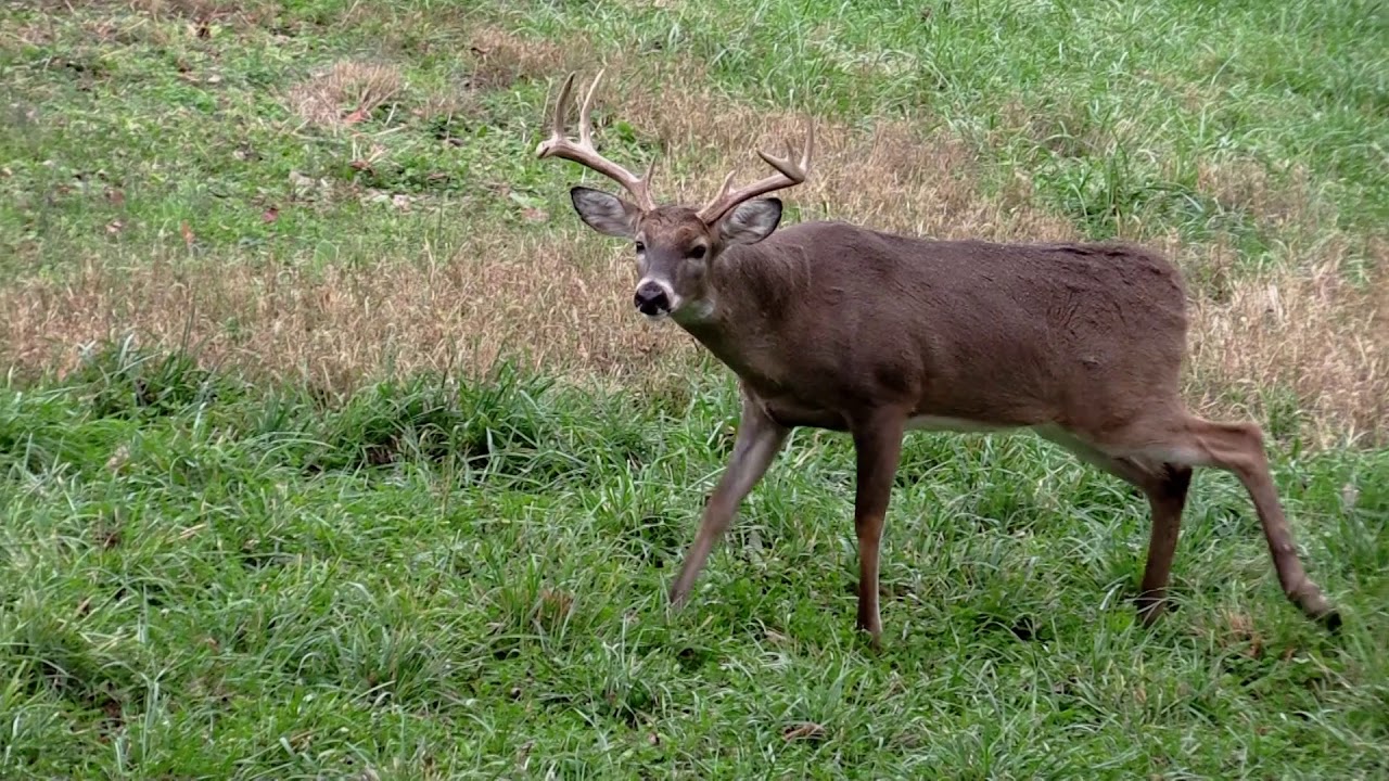 Throw Back Thursday Episode 1 