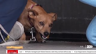 Street Medicine Team in the Kern River Valley