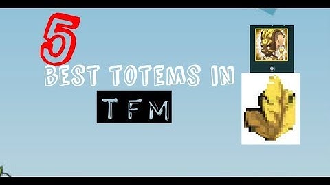 5 BEST TOTEMS IN TFM