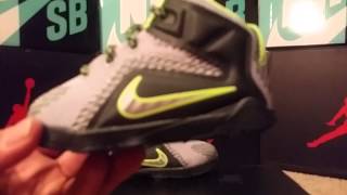 Lebron 12 dunk force