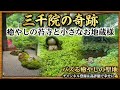 【京都の奇跡】一度は絶対行くべき。心が洗われる、大原三千院の神秘的な苔庭と小さなわらべ地蔵の癒やし旅。