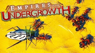 TIGER BEETLES and WOLF SPIDER INFESTATIONS!  Empires of the Undergrowth Gameplay