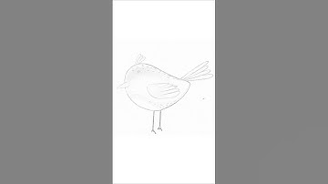 Whimsical Bird!#drawing #art#painting#coloring #procreate #shorts #trending