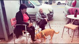 Croma y sonido 2