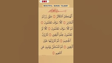 سورة التكاتر 💛 #اكسبلور #الله #دويتو #المصحف #duet #الرحمن #تيك_توك #fyp  #قرآن #لايك #foryou #funny