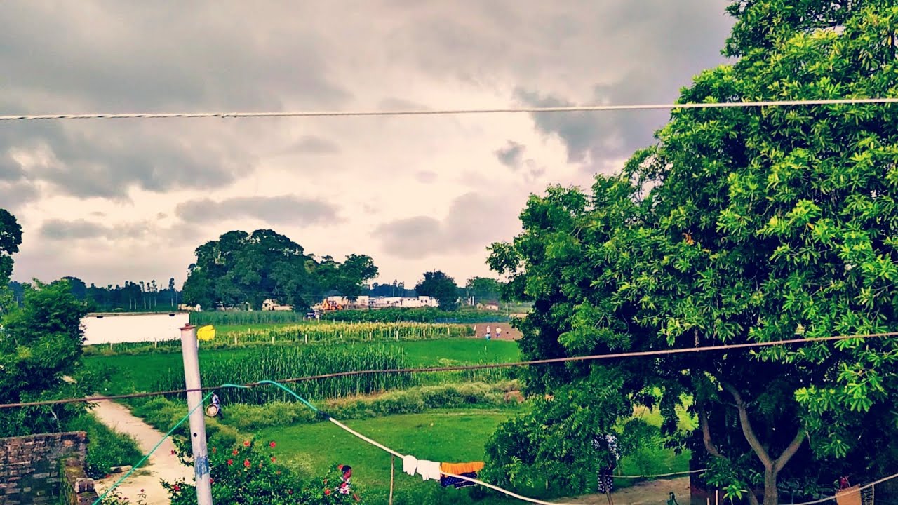 My village cinematic vlogs | A Cinematic Video |  @A1_vlogs