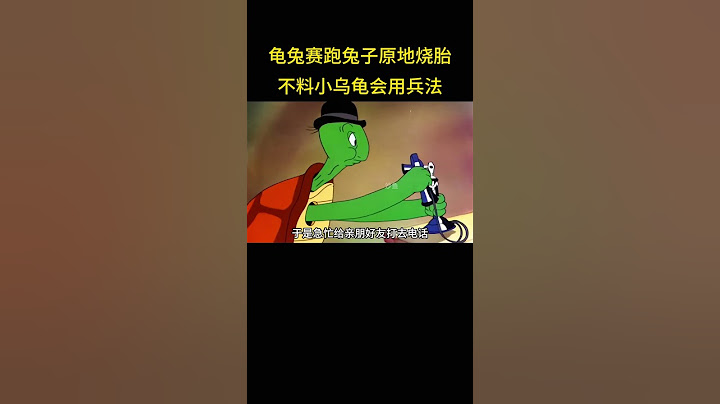 龟兔赛跑兔子原地烧胎，不料小乌龟竟学了兵法