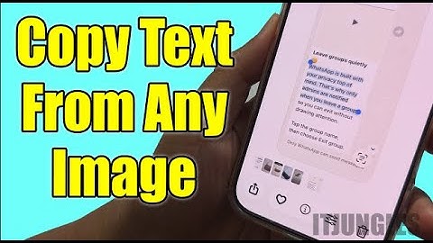 How to Copy Text From Any Image on iPhone Fast!