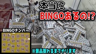 ゲーセンの1回100円のBINGOゲームで、景品GETできるまでプレイしまくってみたｗｗ【クレーンゲーム】