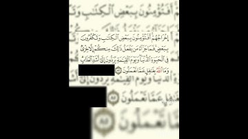 إعاده نشر للحذف : سوره البقره عدد آياتها ٢٨٦ آيه (سوره مدنيه ) الجزء الثاني  من الآيه ٨٥