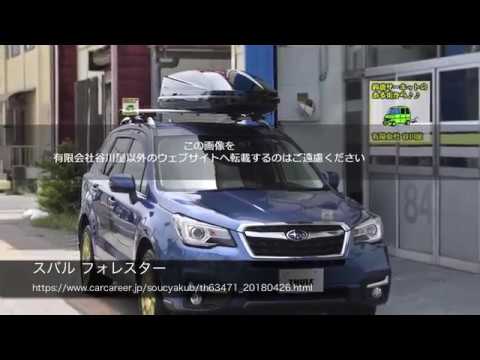 THULEシステムキャリア』 純正 ルーフボックス Touring Alpine グロス