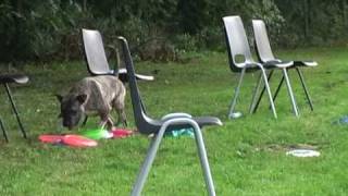 Ooh Jee Wat Veel Frisbees, Melanie En Saiko