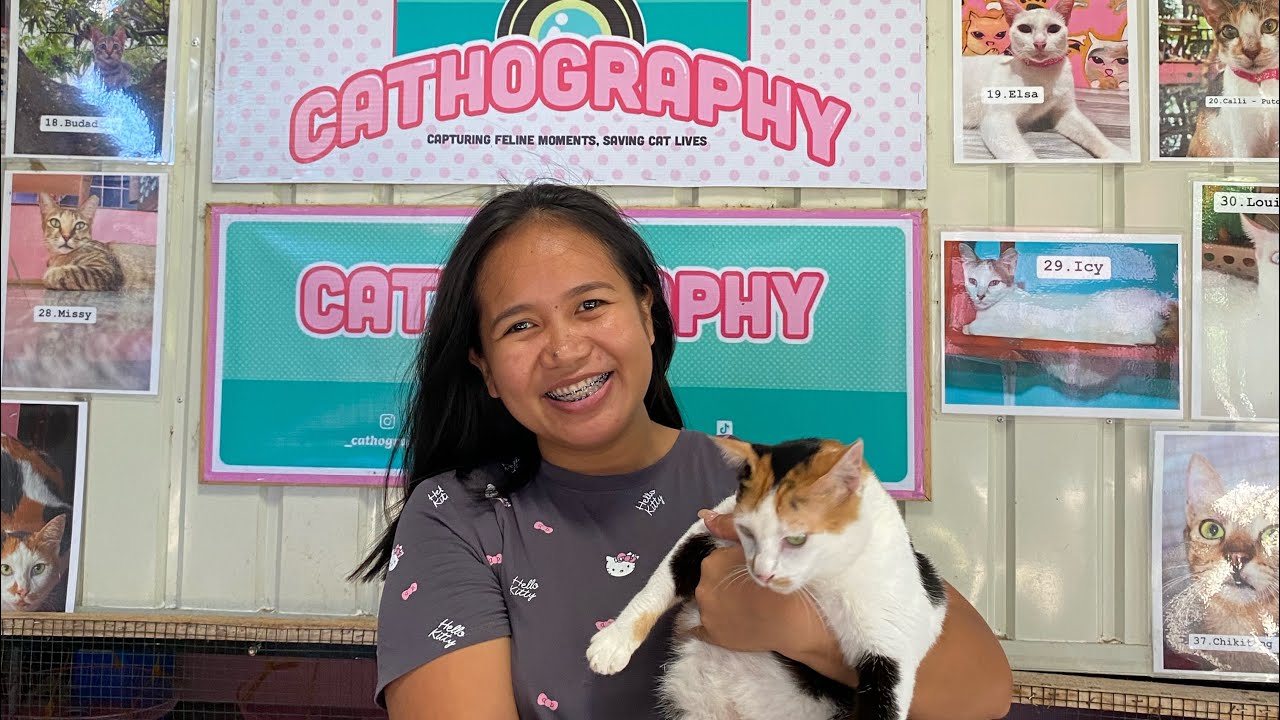 Visited CAThography - YouTube