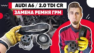 видео: ЗАМЕНА РЕМНЯ ГРМ AUDI A6. Как выставить метки грм 2.0 TDI CR. Замена грм и помпы. Установочные метки картинка: ЗАМЕНА РЕМНЯ ГРМ AUDI A6. Как выставить метки грм 2.0 TDI CR. Замена грм и помпы. Установочные метки