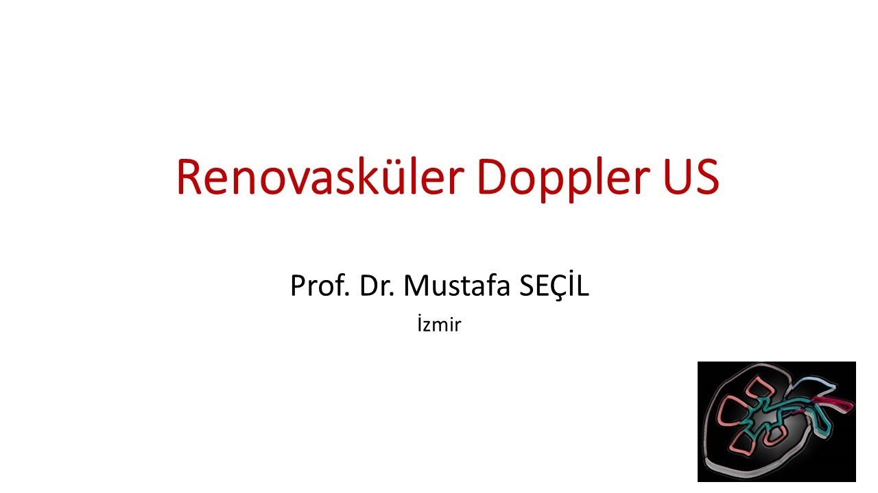 RENOVASKÜLER DOPPLER  - TR #ultrasound #doppler #kidney