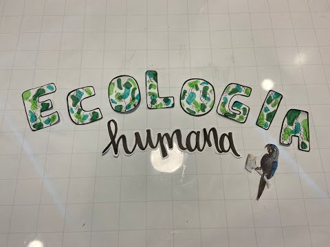 Video: ¿Qué es la ecología humana en sociología?