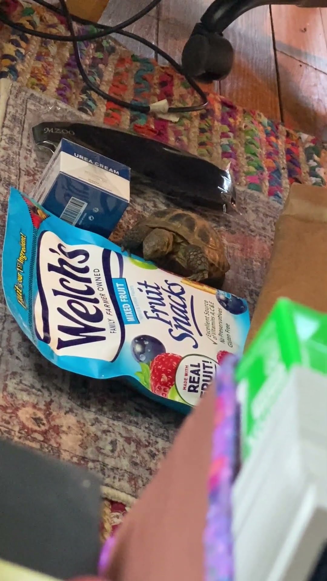 Tortoise Tries To Eat Fruit Pictured On Packaging || ViralHog