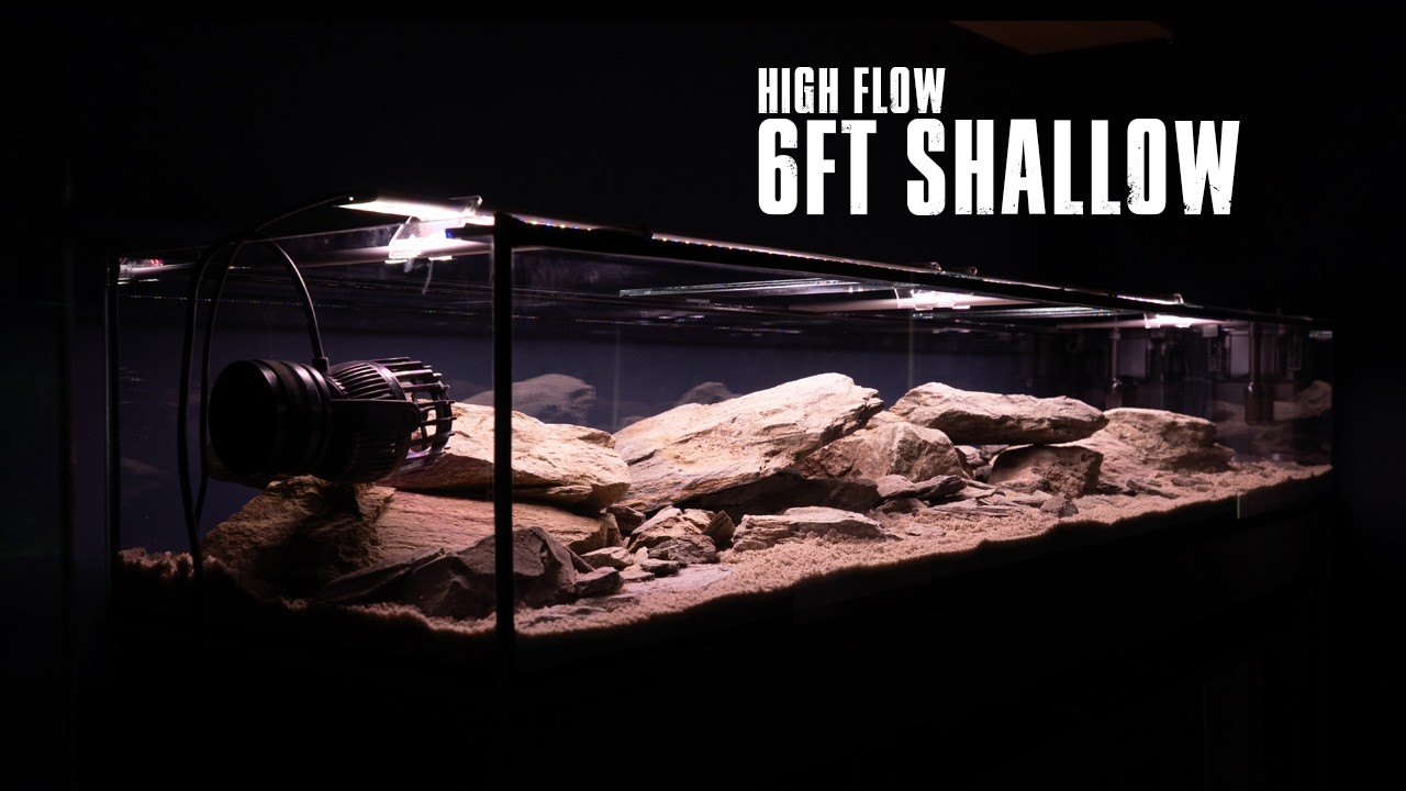 BUILDING A NATURAL RIVERBED IN A CUSTOM AQUARIUM