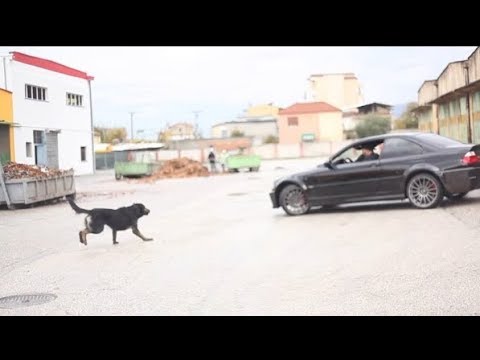 BMW M3 E46 BURNOUT & DRIFT AMAZING
