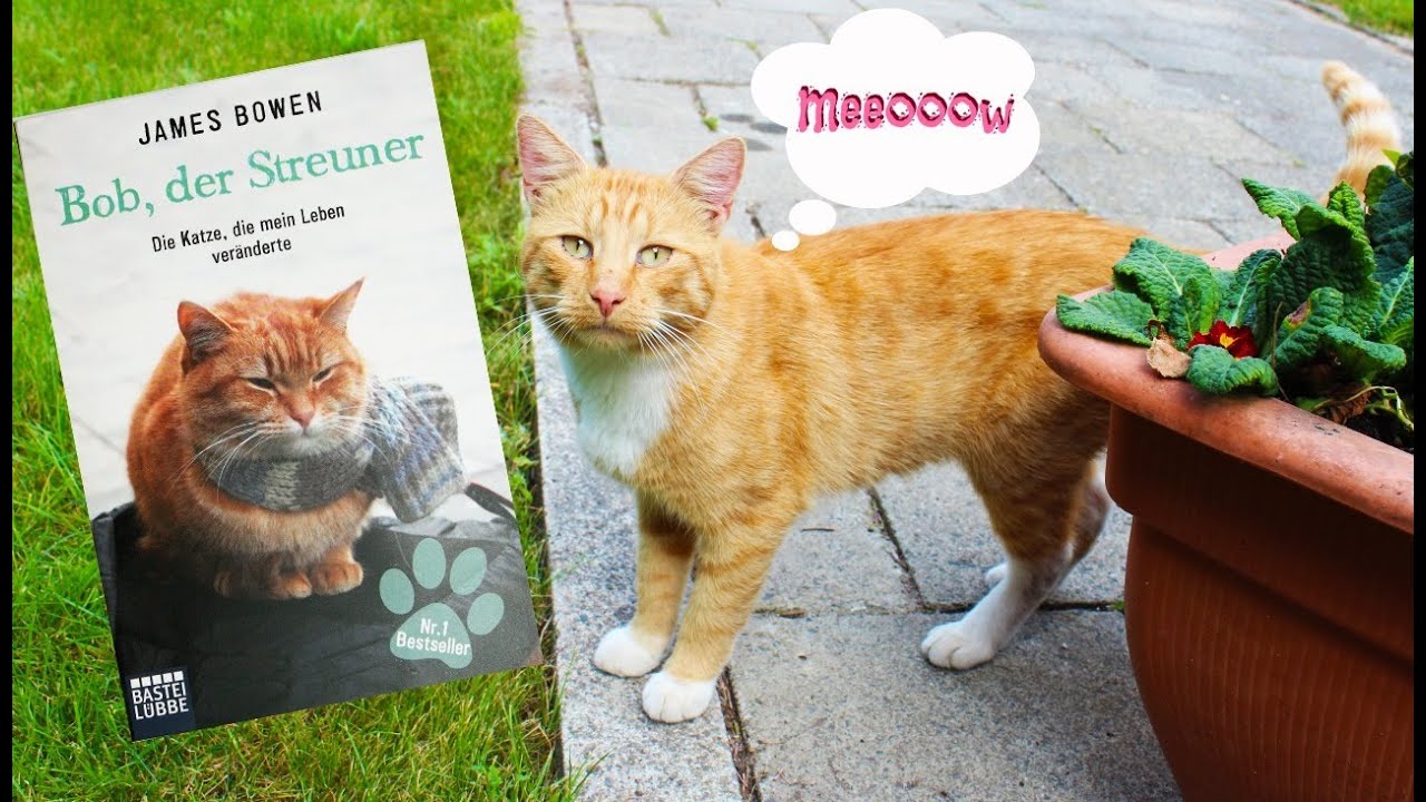 Bob Der Streuner Englisch