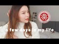 Day in the Life of a University Student + YouTuber | Peking University | Beijing Vlog