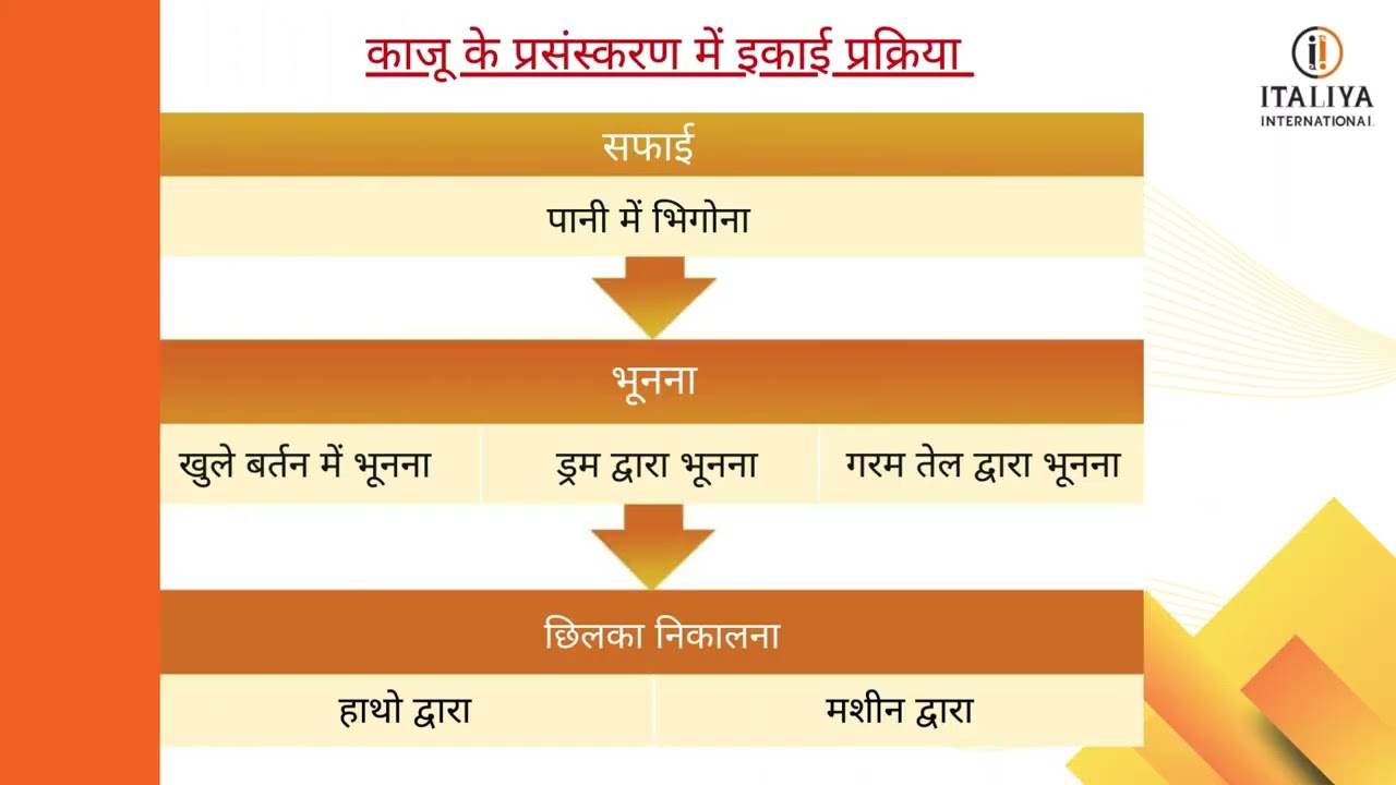 CASHEW PROCESSING SOLUTIONS 🌰
