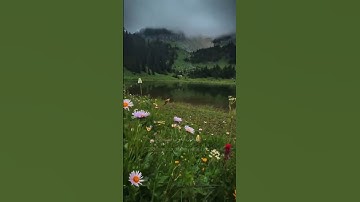 ﴿ قَالَ قَرِينُهُ رَبَّنَا مَا أَطْغَيْتُهُ وَلَٰكِن كَانَ فِي ضَلَالٍ بَعِيدٍ ﴾     سورة ق    #قرآن