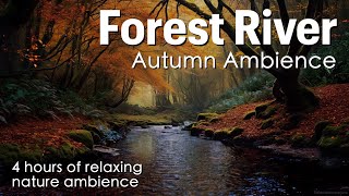 Forest River - Autumn Ambience - River Sounds with Crickets - Sounds for Relaxing - 4 hours