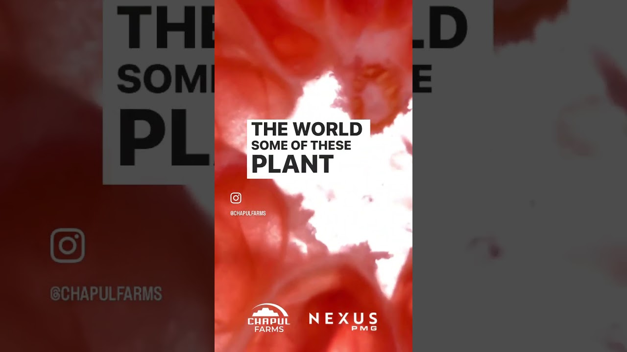 BTU PODCAST - nutrient recovery