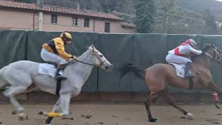 20260118 Palio di Buti