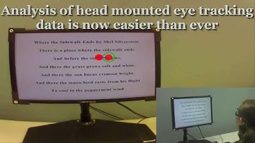 ASL Eye Tracking: Watch the capabilities of our new monitor tracking setup